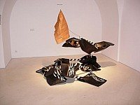 2005-05-29 10-56-03