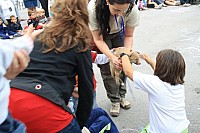 divina pastora 2011 044