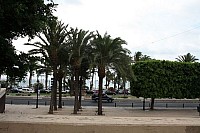 Paseito_Ramiro_005