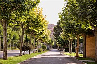 0050-Complejo-Perez-Mateos-250712-pepe-_MG_2634-1