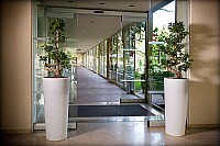 0725-Complejo-Perez-Mateos-310712-Pepe-_MG_3459