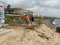 DSCN6105