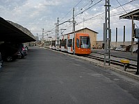 1 (18)
