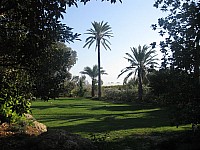 Jubalcoy Torre (10)