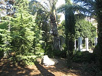 Jubalcoy Torre (12)