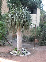Jubalcoy Torre (13)