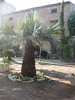 Jubalcoy Torre (14)
