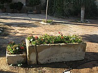 Jubalcoy Torre (16)