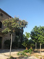 Jubalcoy Torre (23)