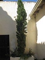 Jubalcoy Torre (30)