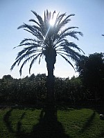 Jubalcoy Torre (8)
