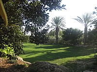 Jubalcoy Torre (9)