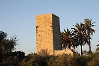 Torre Media Libra 006